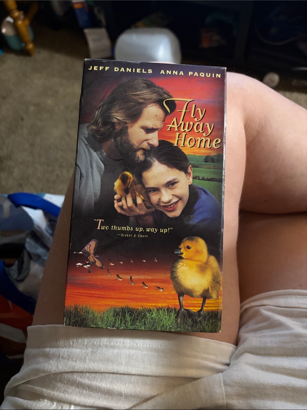 Fly Away Home VHS Movie - Family Drama (Red, Orange, Yellow)